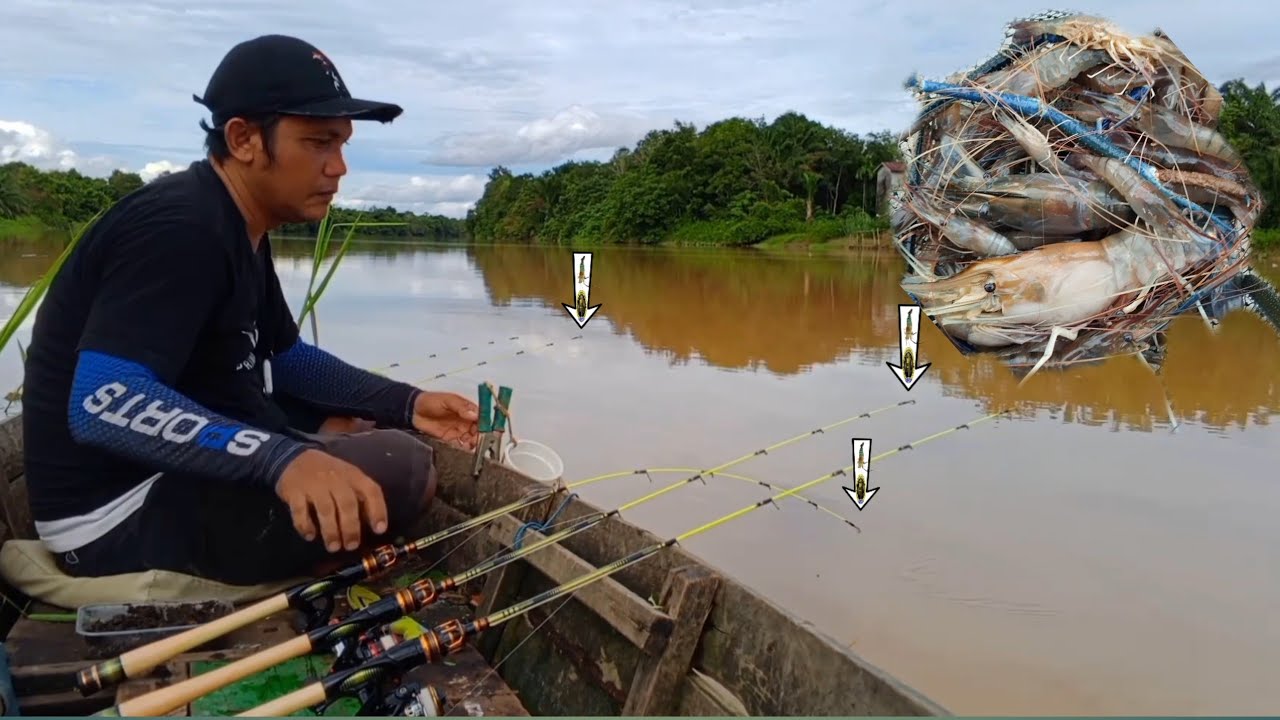 Udang galah capit biru berhasil didapat kan‼️mancing udang galah terbaru