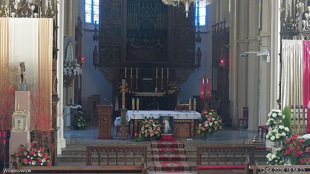 Transmisja Mszy św.