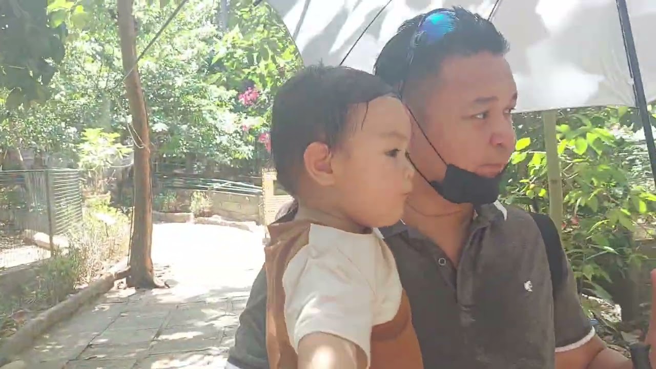 Zoo escapade