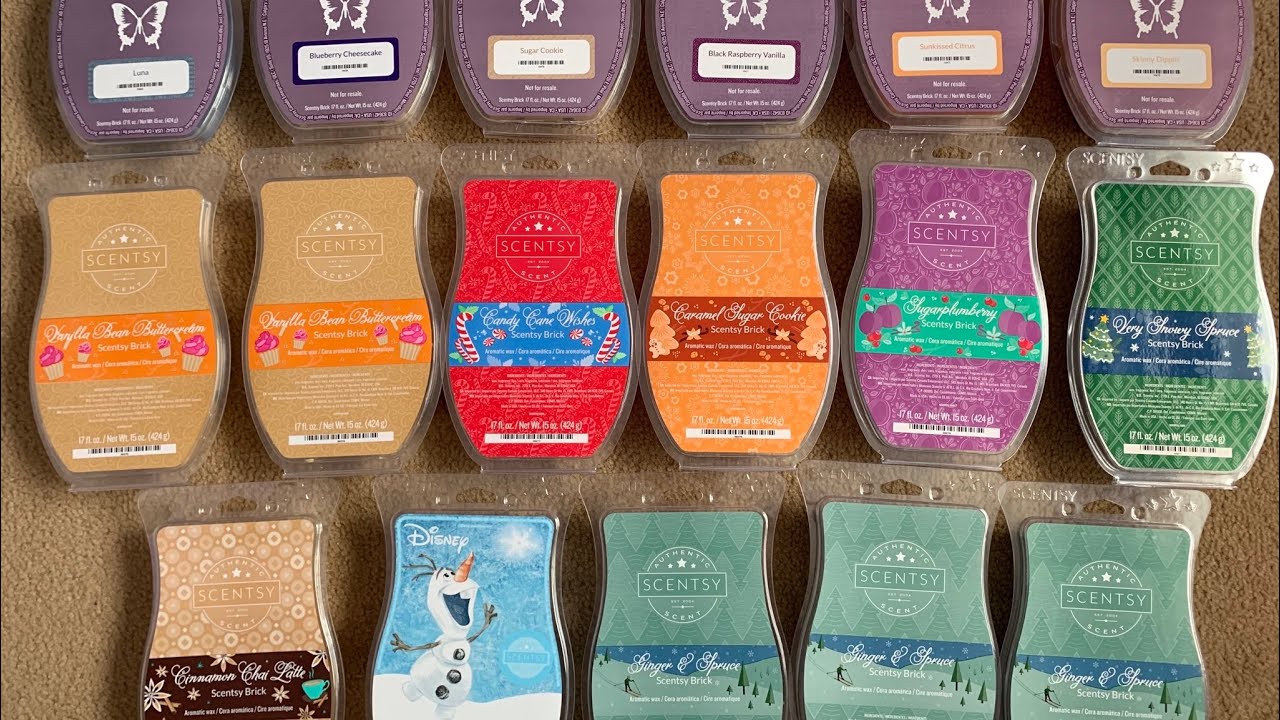 Scentsy BRICKS! | My Brick Collection! 😍