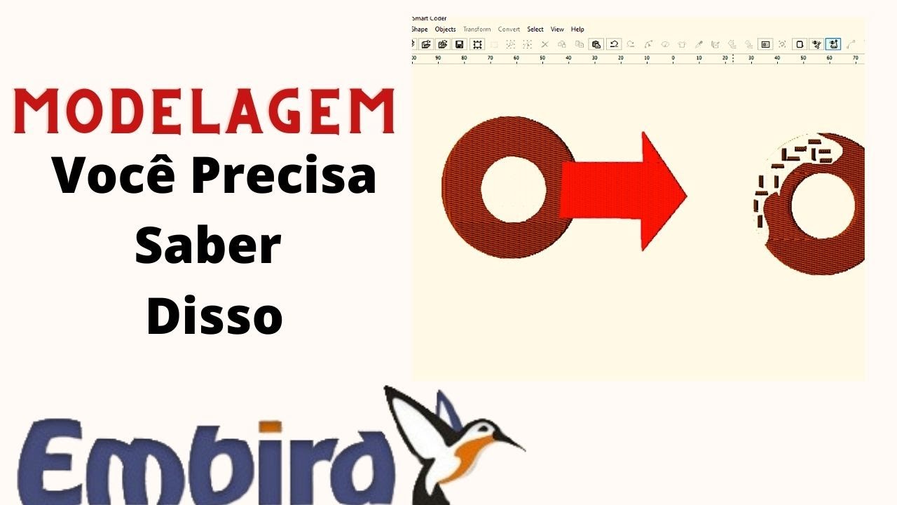EMBIRD -Modelagem - Você Precisa Saber Disso!