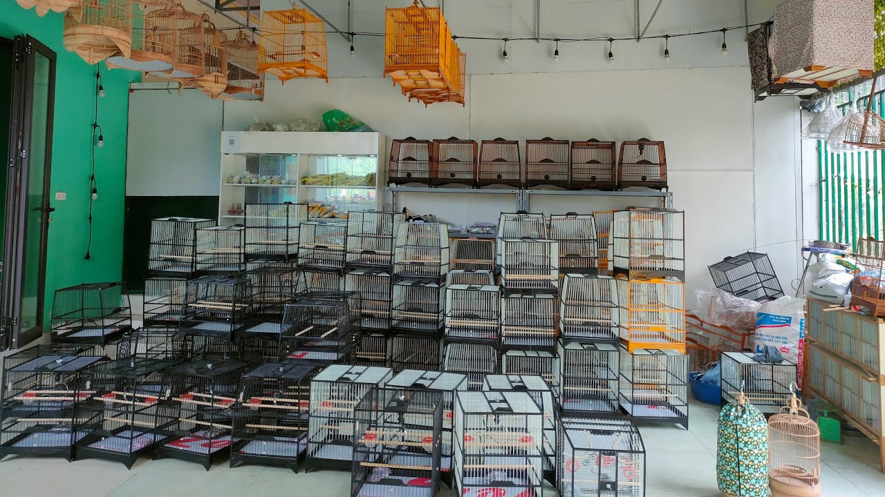 Lồng chim ch&agrave;o m&agrave;o gi&aacute; rẻ 230k ah em cần alo 0338,862,025