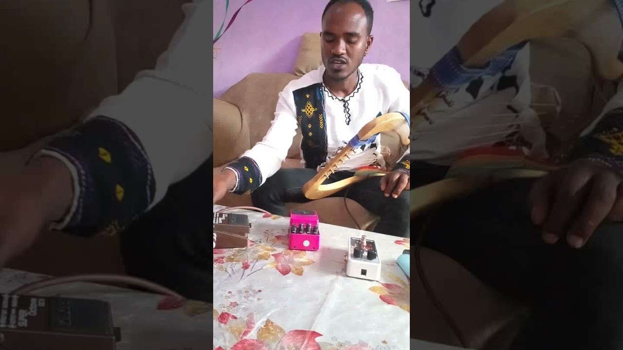 የኦክታቨር አይነቶች እና አጠቃቀማቸው How to use octave Boss oc3,pitc fork..Behringer....etc