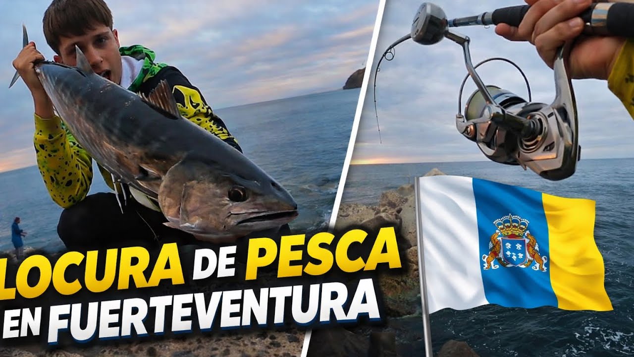 Locura de actividad a primera hora en Fuerteventura (sierra y bicuda record)🤯🪚🐊