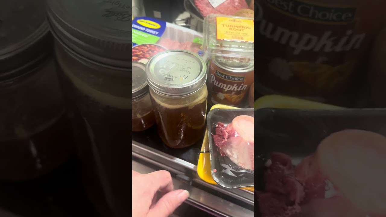 Homemade dog and cat food