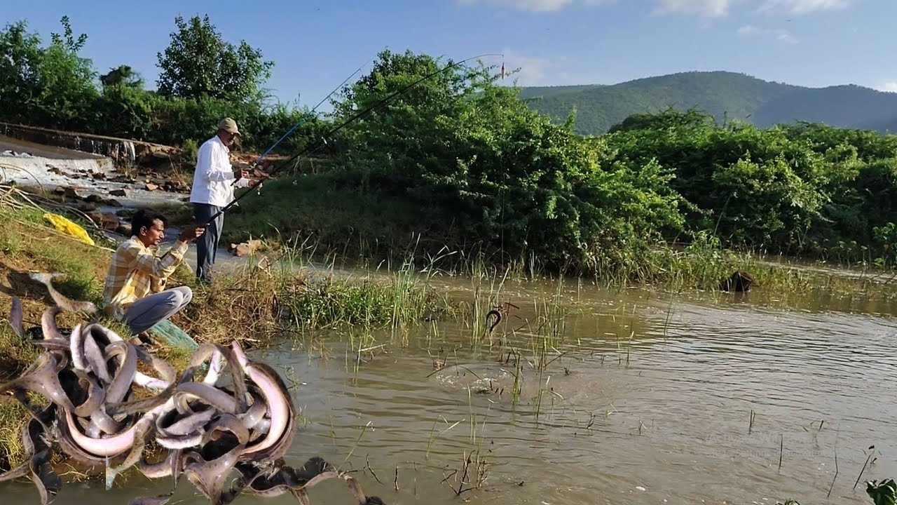 || AMAZING BAAM FISHING ||  BY WATER FALL IN VILLAGE  BEST CATCHES 