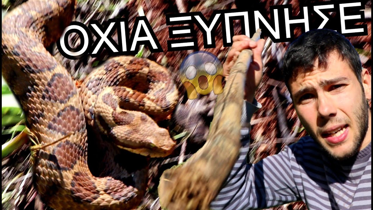ΕΓΙΝΕ ΚΑΤΙ ΤΡΟΜΕΡΟ