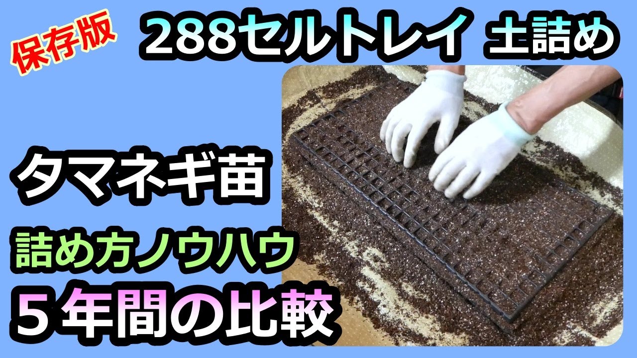 保存版【288セルトレイでタマネギの苗づくり】５年間で一番良かった土の詰め方