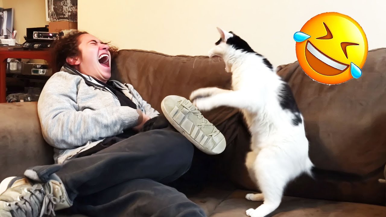 New Funny Pet Videos 2024 😄 Funniest Cats and Dogs Videos 😻🐶 PART 25