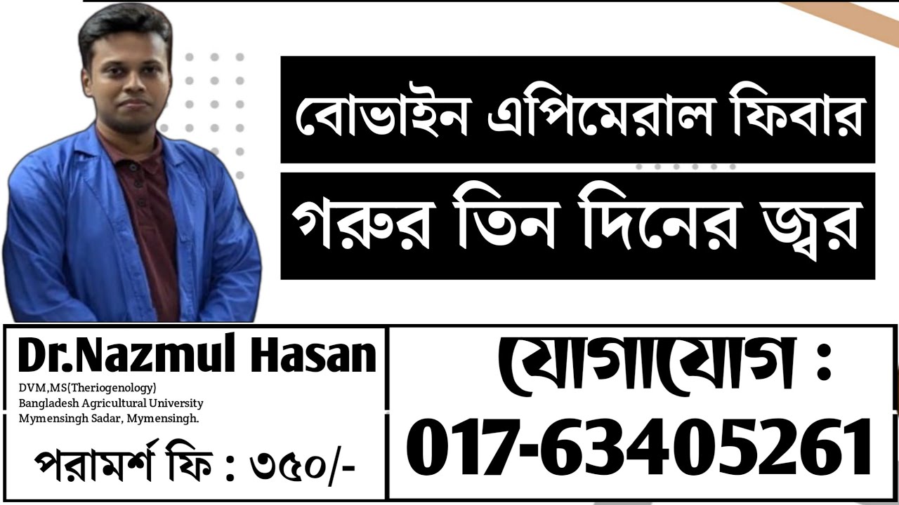 গরুর তিন দিনের জ্বর বা বোভাইন এপিমেরাল ফিবার রোগের কারন, লক্ষন ও করনীয় ( বিস্তারিত আলোচনা )। 