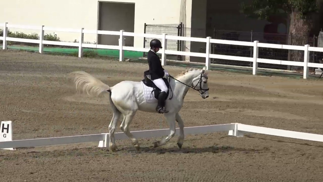 114學年度全國中等學校馬術錦標賽(馬場馬術) 高中組 Youth 楊鈞