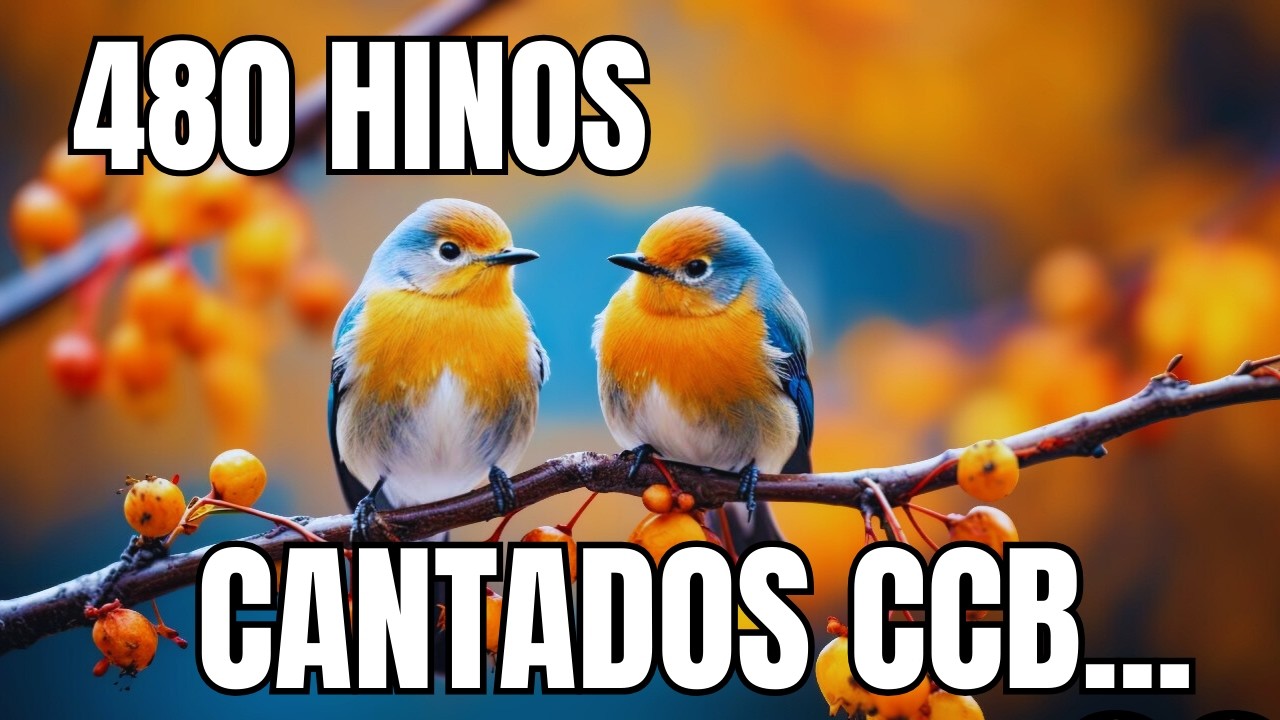 480 HINOS  CANTADOS CCB - 18/02/2026 -  1,2,3,4,5,6,7,8,9,10,11,12,13,14,15,16,17,18,19.20,21,22,23