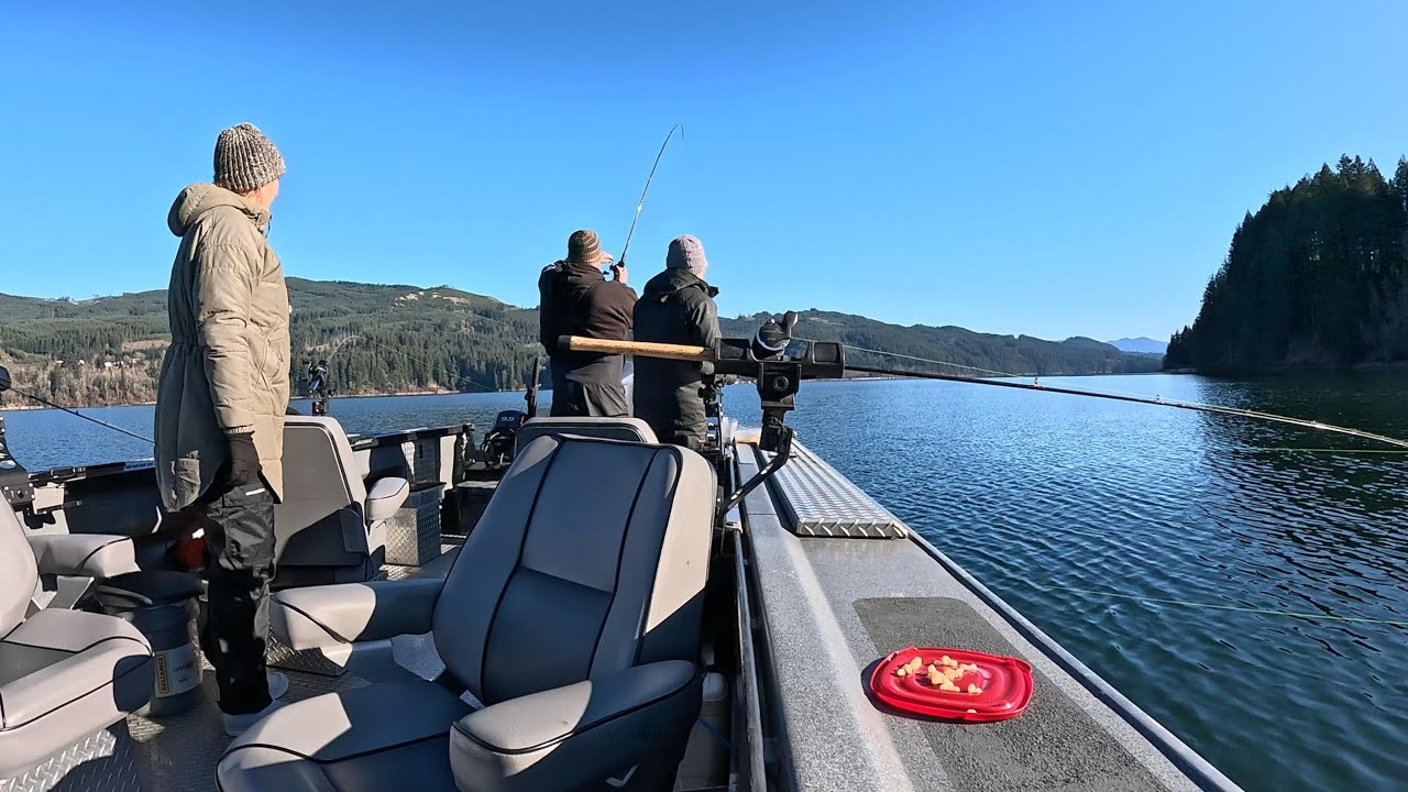Kokanee Fishing Lake Merwin