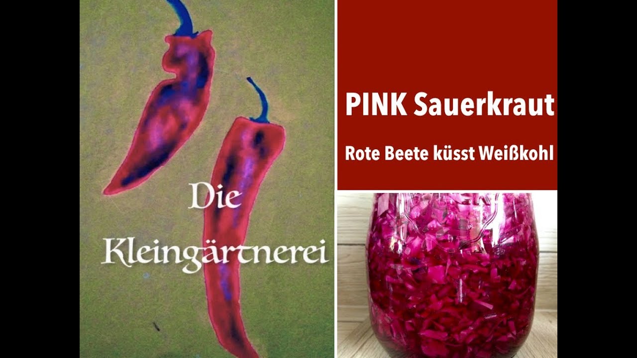 Fermentierte Rote Beete & Weißkohl: Pink Sauerkraut   LECKER!