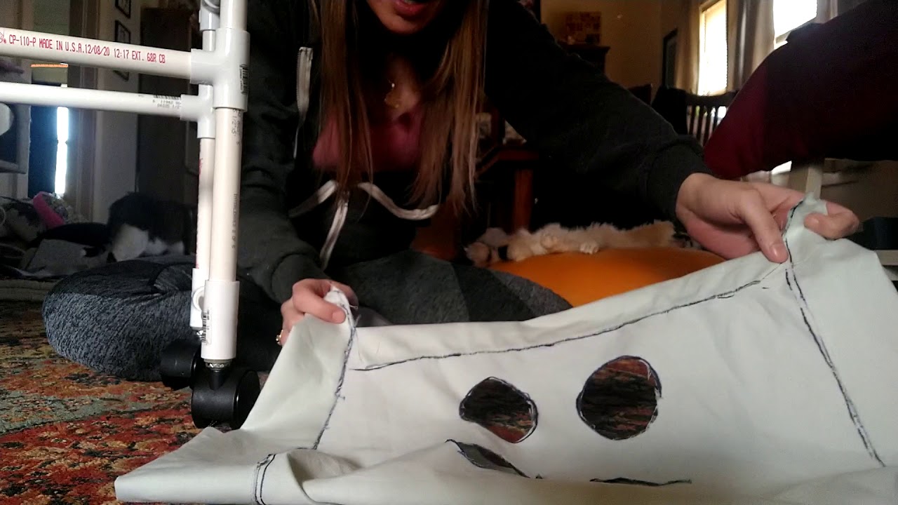 How to make a cat wheelchair cart in 10 minutes for 20$