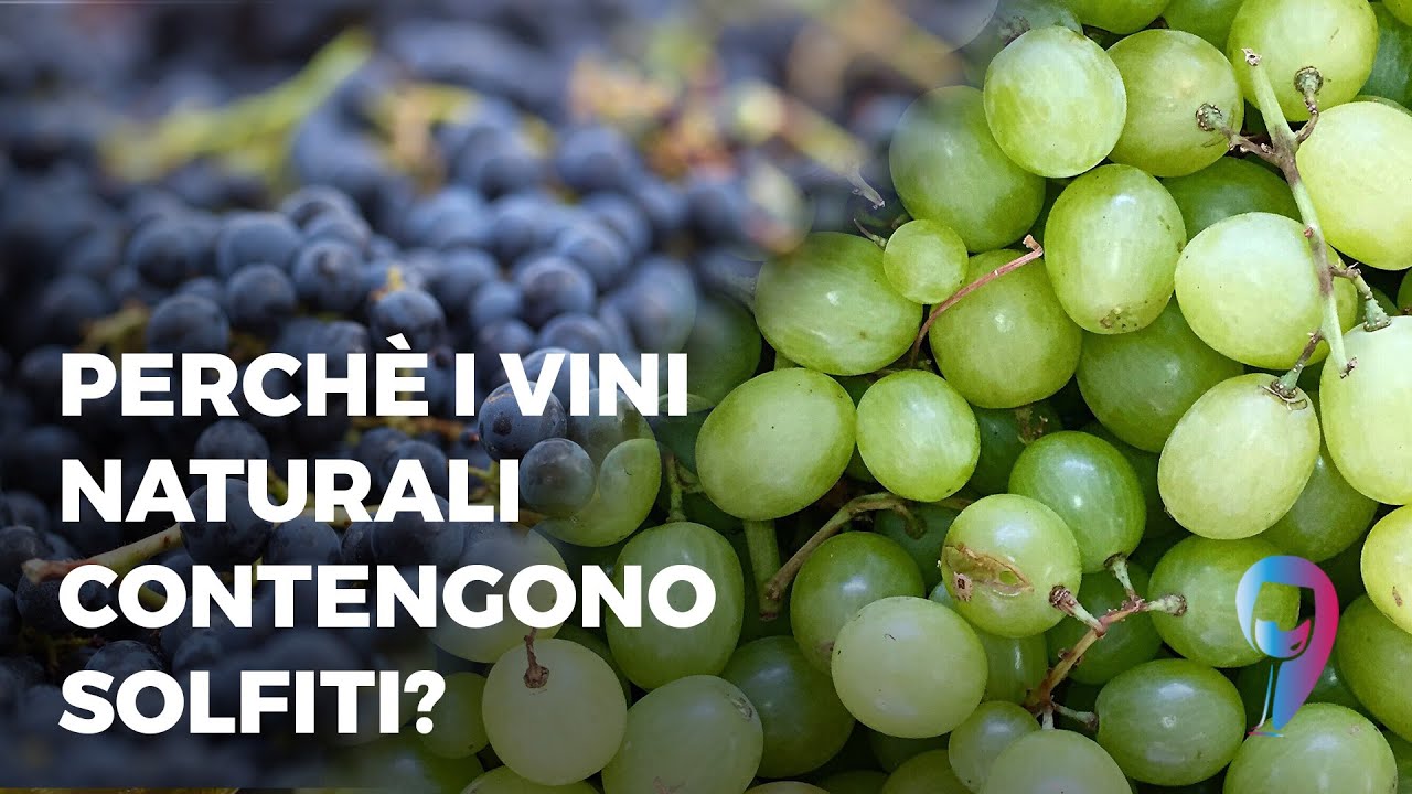 Perchè i vini naturali contengono solfiti?