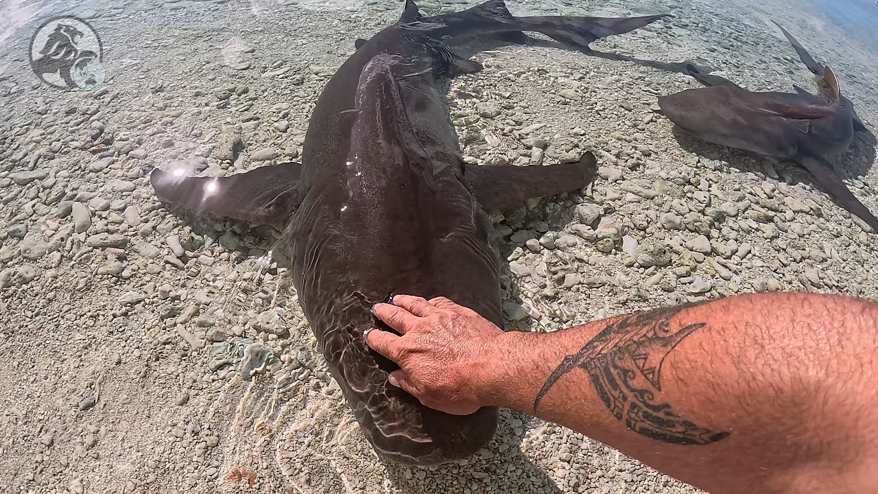 Apataki,  un atoll du bout du monde aux Tuamotu.