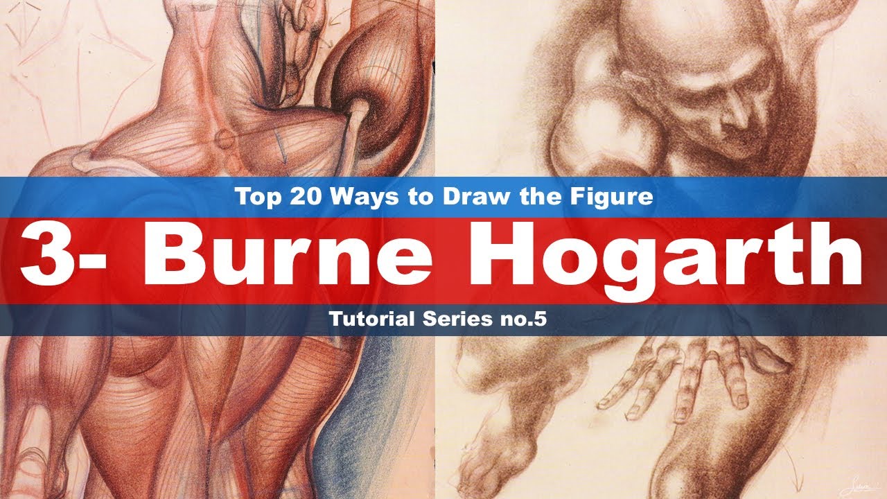 Top 20 Ways to Draw the Figure (3-Burne Hogarth) Tutorial series No.5 (Drawing from imagination)