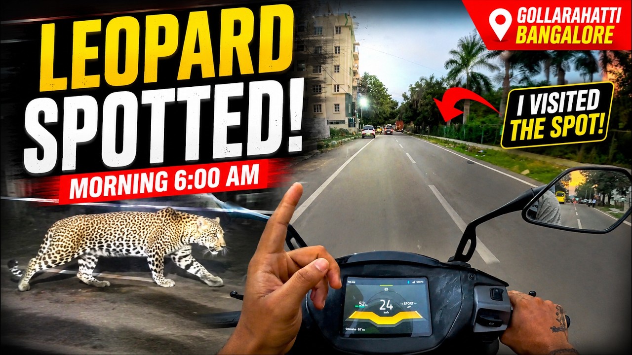 🚨ALERT! Leopard Spotted in Bangalore?!I😳Visited the Exact Spot!