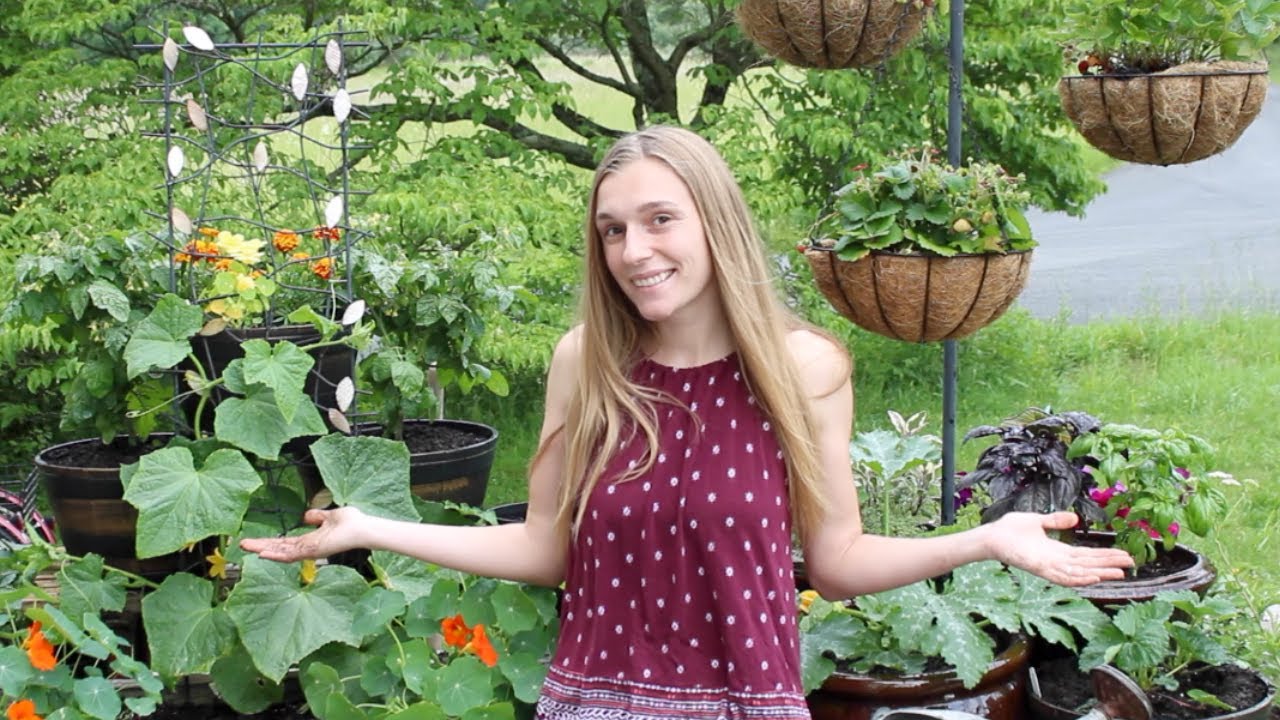 Starting an Edible Container Garden