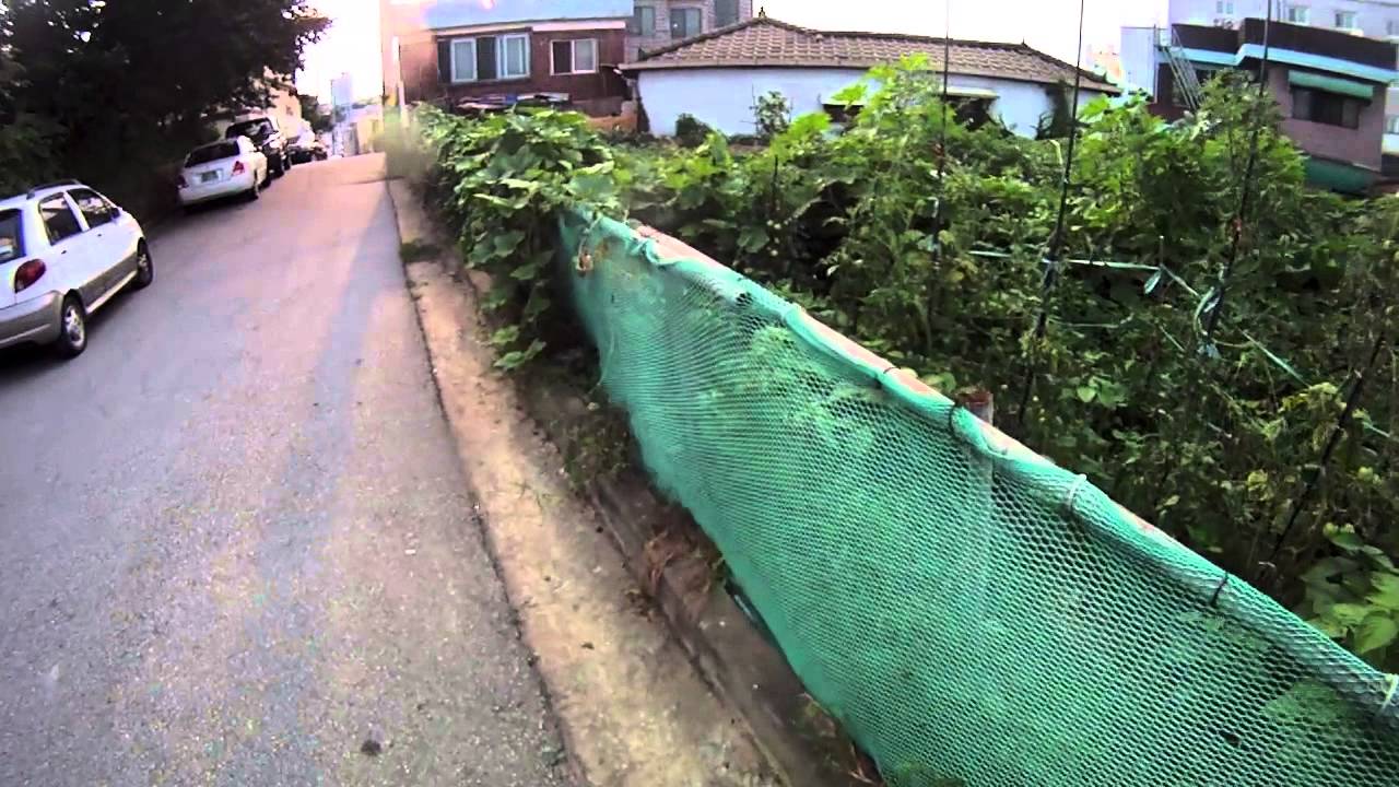 Longitude111 - Korea Geocaching (31 days of geocaching)