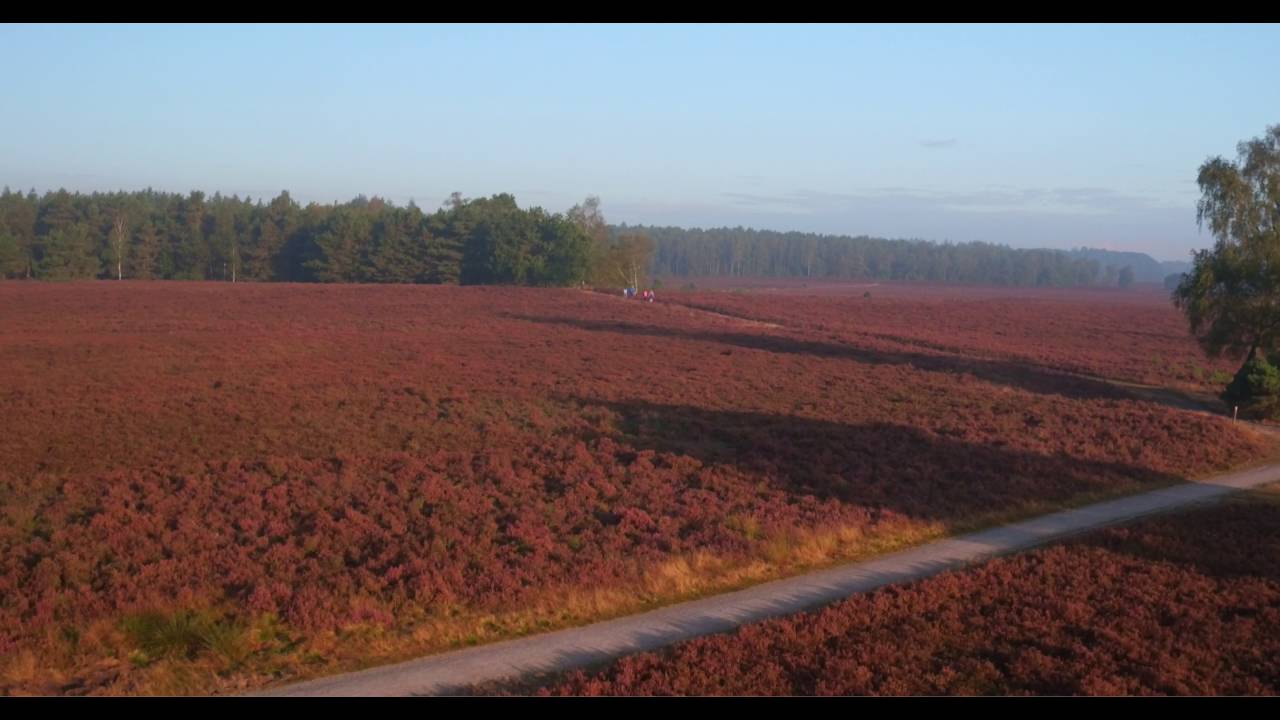 De Renderklippen 2016 (bird's eye view)