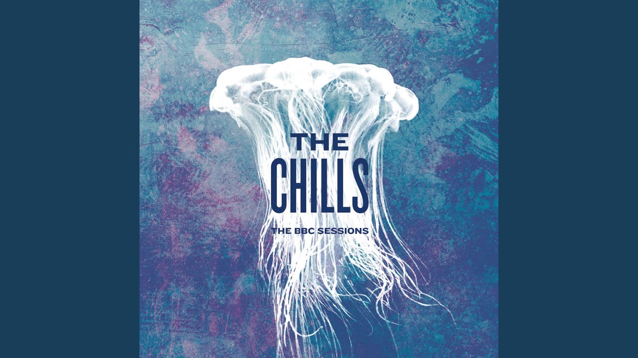 Night of Chill Blue