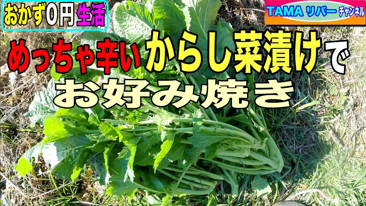 【おかず０円生活】めっちゃ辛いからし菜漬けで、お好み焼きを作る