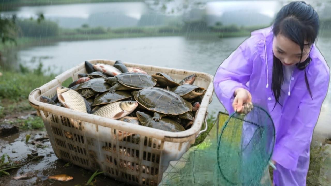 美女花1200包下五个甲鱼塘，一网下去全是甲鱼，这下真是赚大发了！【文杰吖】