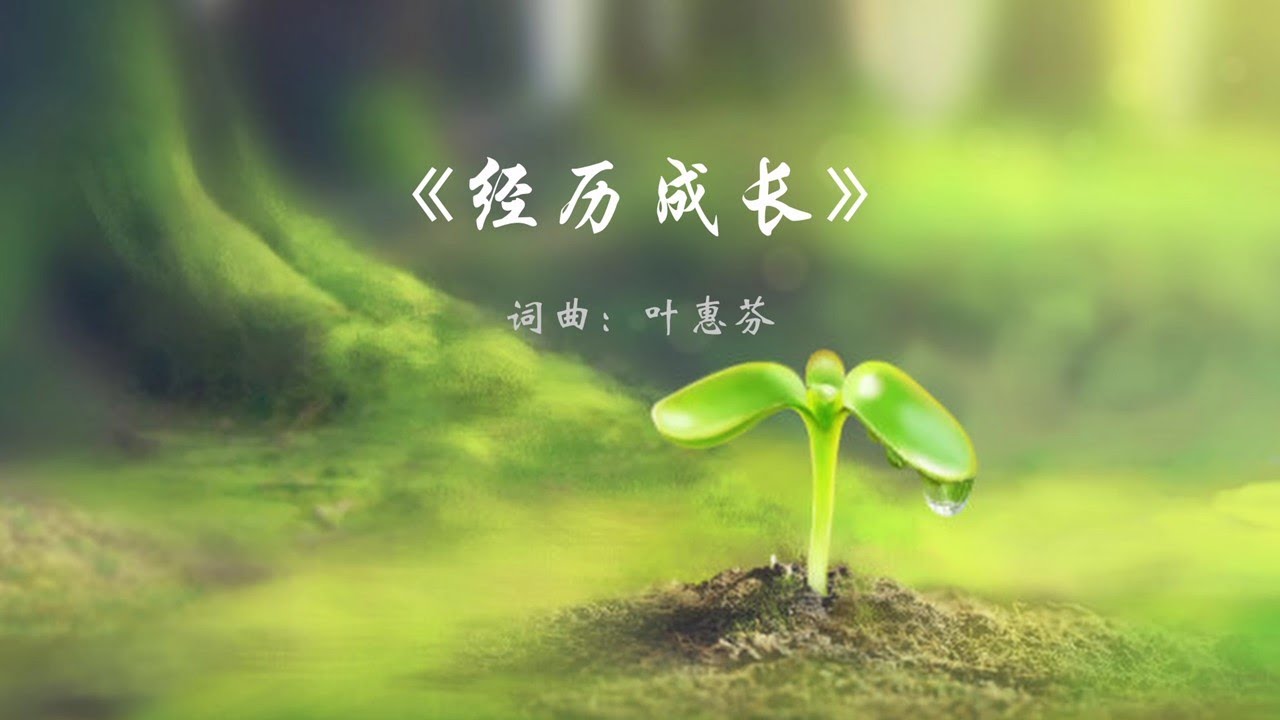 原创诗歌《经历成长》