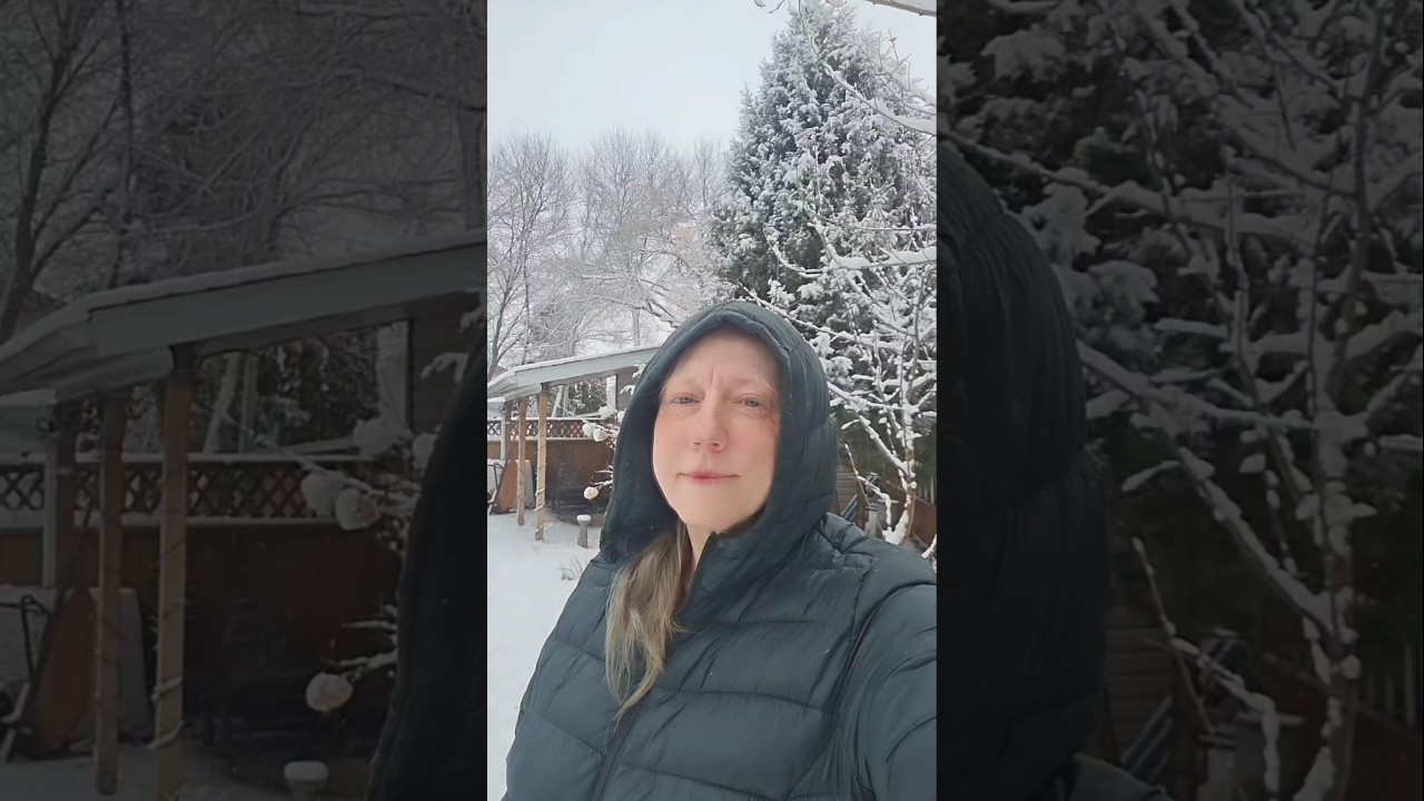Spring in MB Canada 🇨🇦 🤍🌿 @kathyscraftstudio