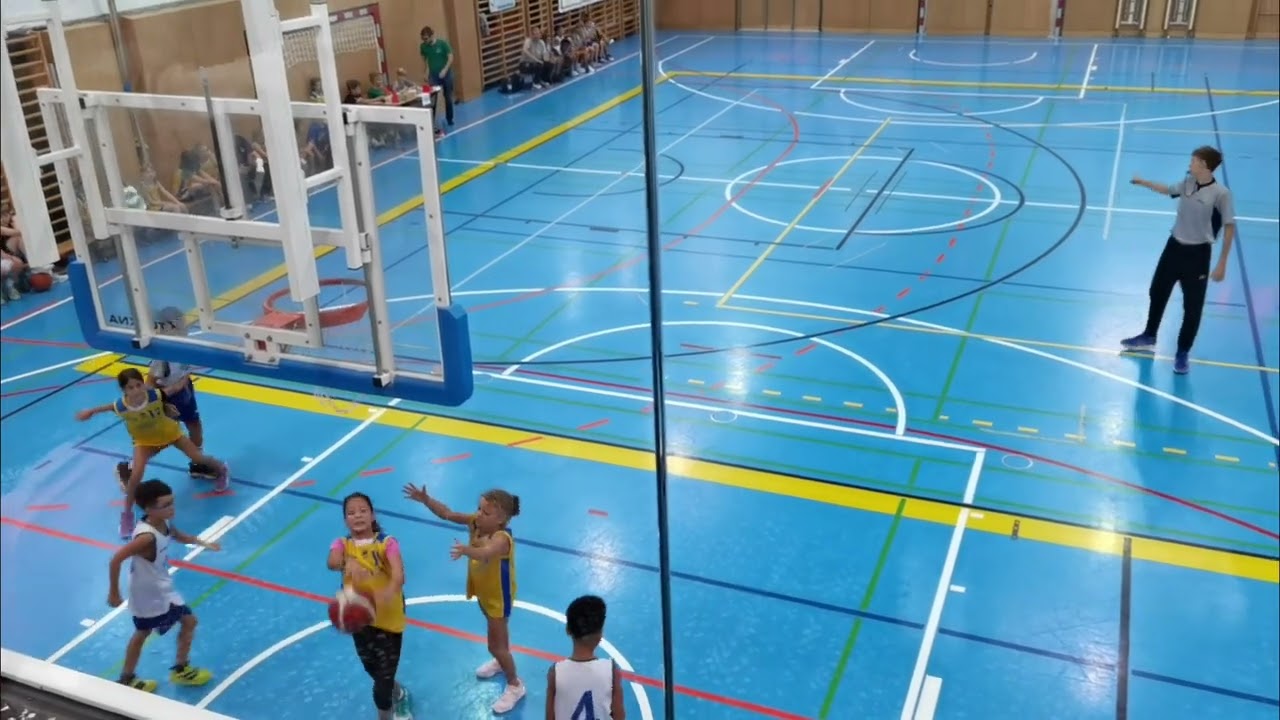 U10 Vienna Timberwolves gegen U10 UDW Alligators - 14.09.2024 - Highlights