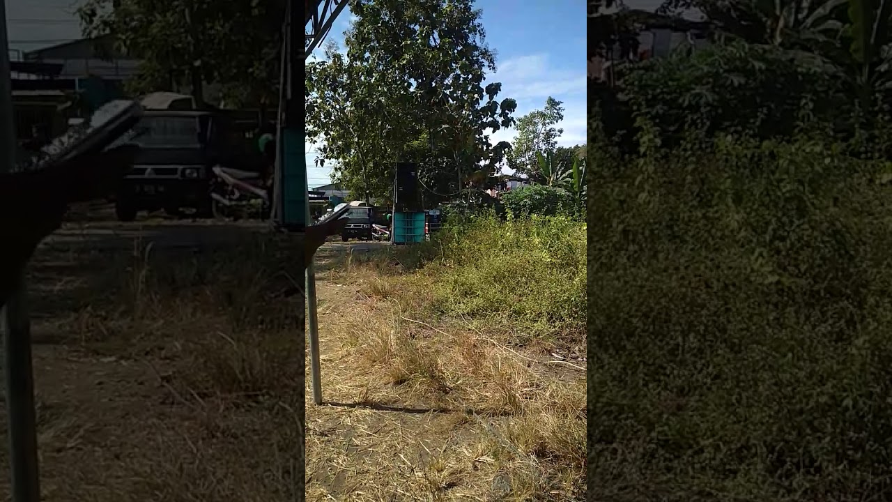 Rbs putar dj auto ngebul odong2nya