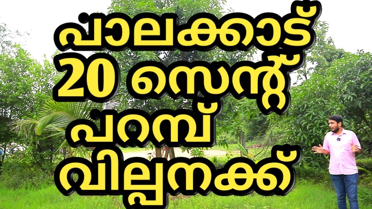 PALAKKAD 20 CENT RESIDENTIAL PLOT FOR SALE