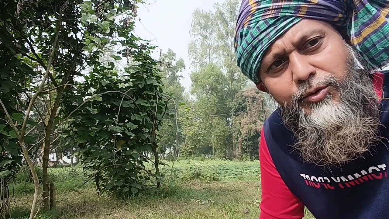 বনলতা সেন / জীবনানন্দ দাশ 