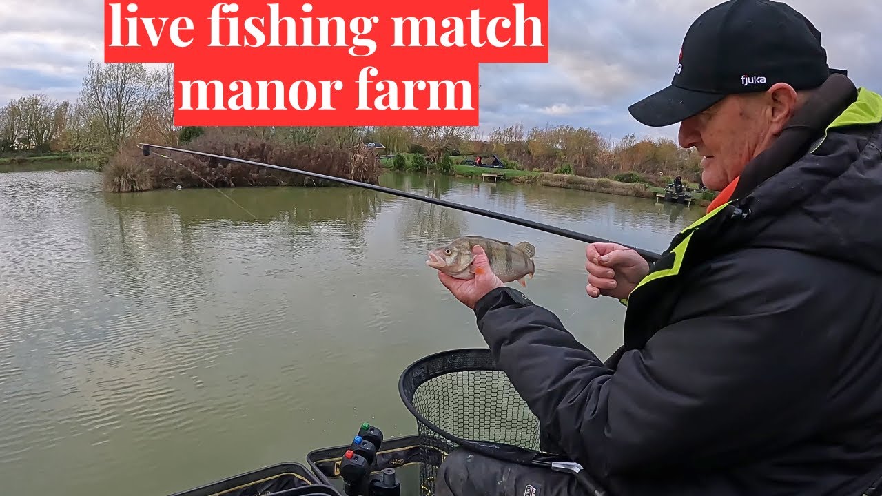 Рыболовная приманка Match Manor Farm Swilland IP6 9LB, #matchfishinguk