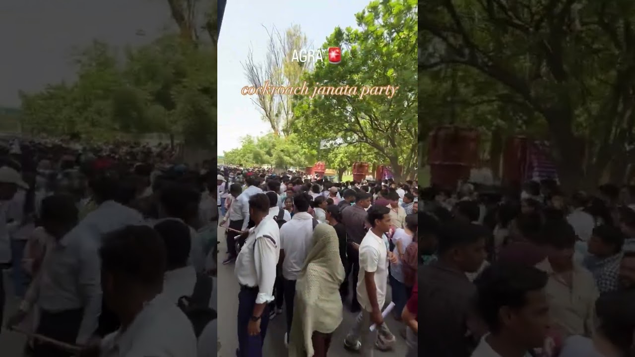 cockroach janta party #cjp #viralparty  #agra #shorts #reel