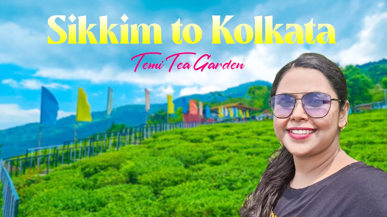 Sikkim to NJP to Kolkata Journey| Temi Tea Garden Sikkim| Teasta River Trail