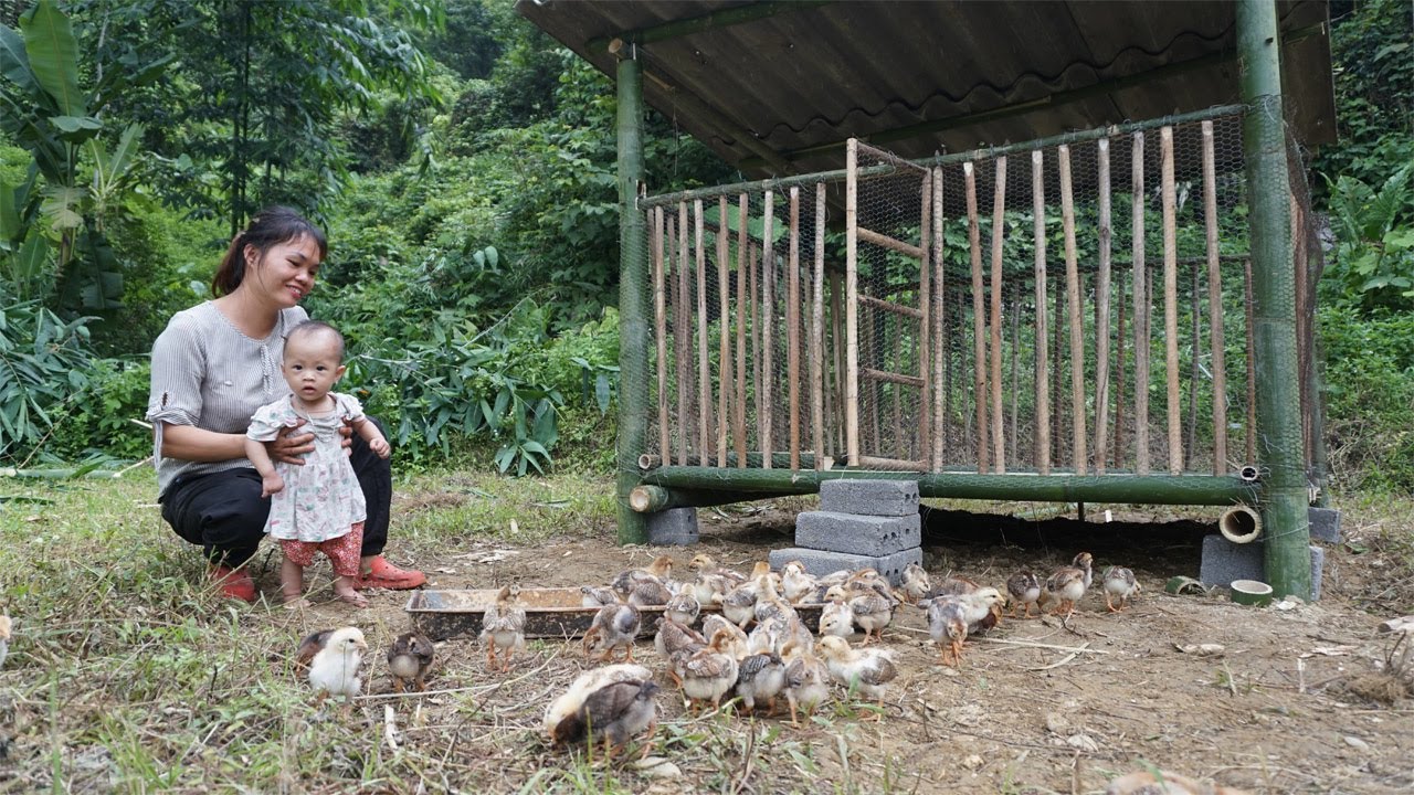 Single Mother Building House For Chicken - Go To The Central Market Buy Chicken - Single Mom Farm