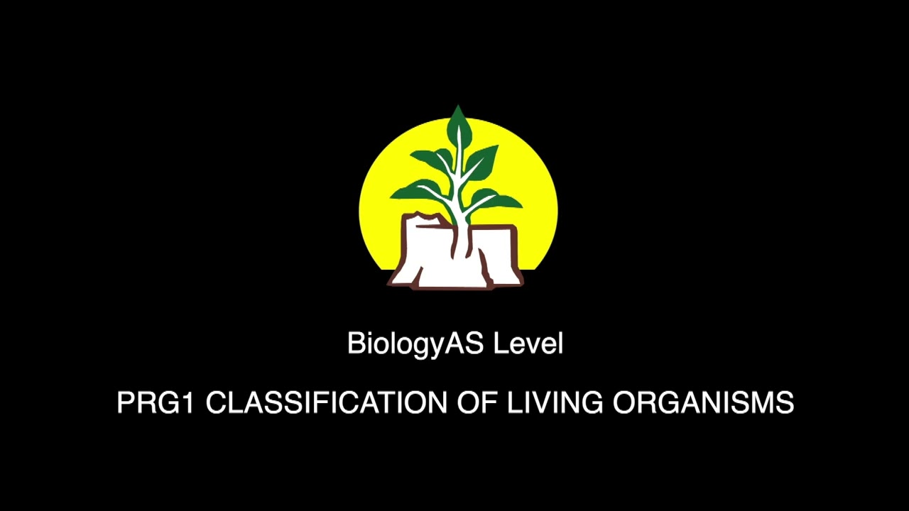 Biology AS Level, Grade 12, Classification of Living Organisms