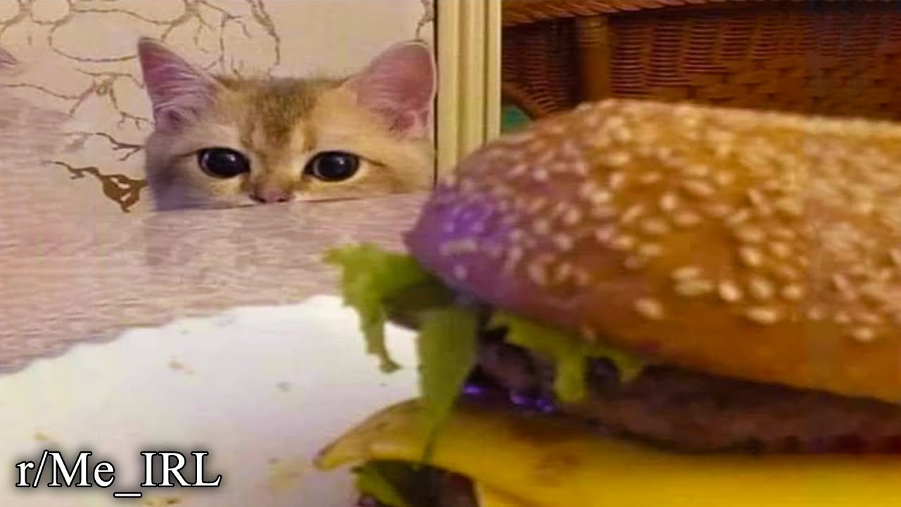 r/Me_IRL | Я на диете