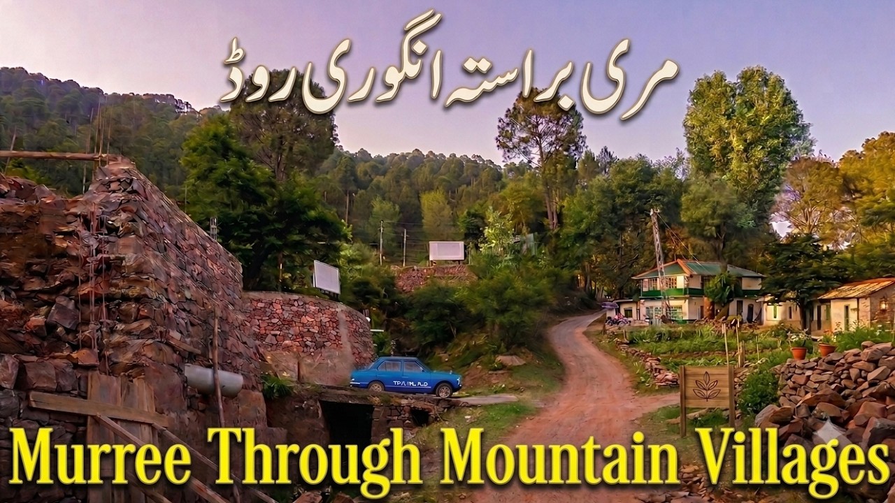 Murree's Hidden Route &mdash; Angoori Road to Patriata Through Mountain Villages