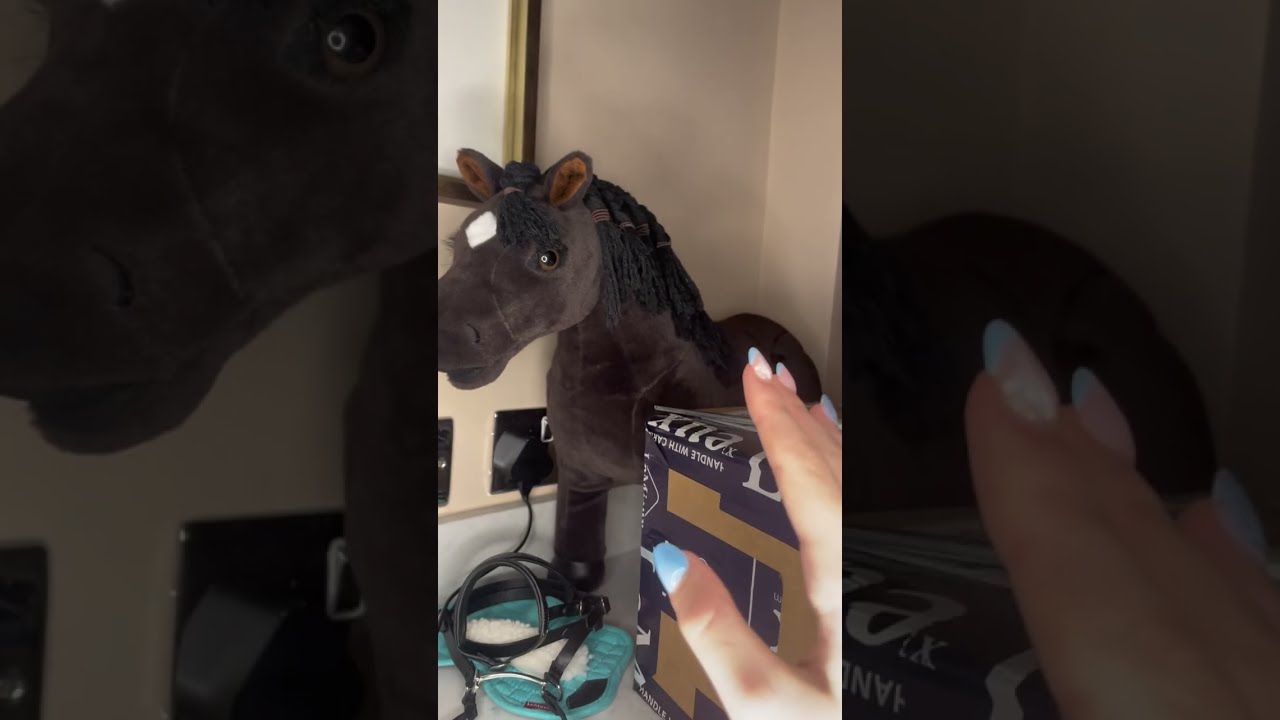 UNBOXING NEW LE MIEUX TOY PONY TACK!!!!! 🐴🐎😁