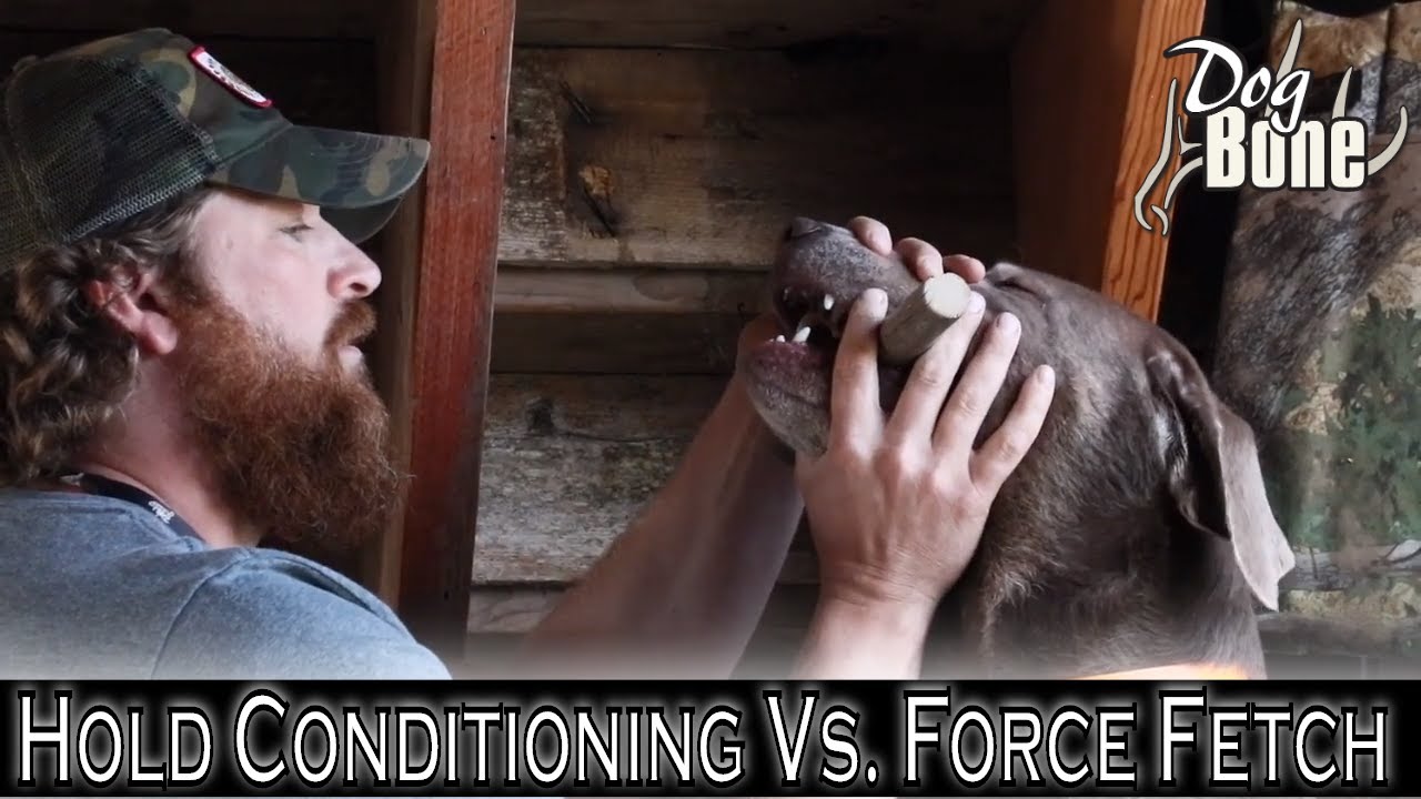 Hold Conditioning vs Force Fetch: Why Hold is Better