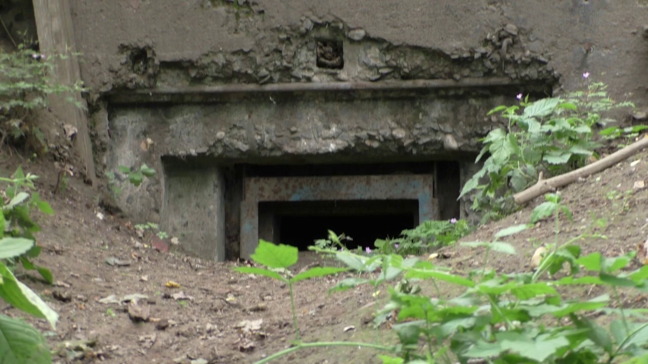 Dark Unterwegs  ab Dresden Wilder Mann  Junge Heide mit etwas Bunker #Update 2