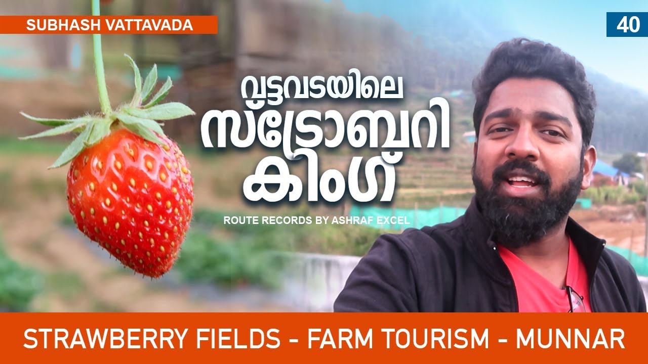 Strawberry Fields │ Farm Tourism │ Vattavada - Munnar - Kerala  │ Route Records Ep#40