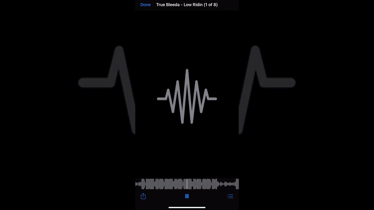 TrueBleeda x Low Riding (unreleased)