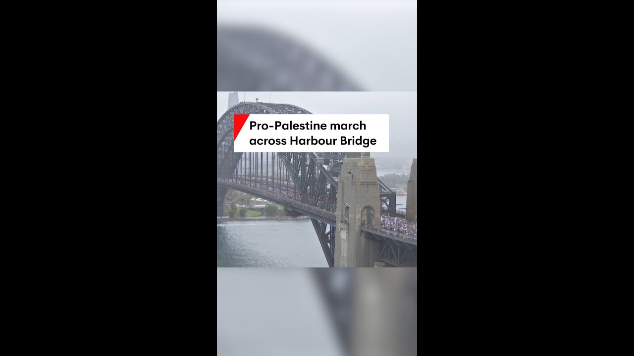 Pro-Palestine march across the Harbour Bridge