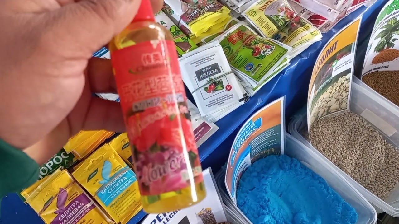 18 МАРТ ЧОРСУ  СУЛТОНАЛИ ГУЛ УРУГЛАРИ💐🌼💮🪷💐🌸💮🌹🪷⚘️🌹