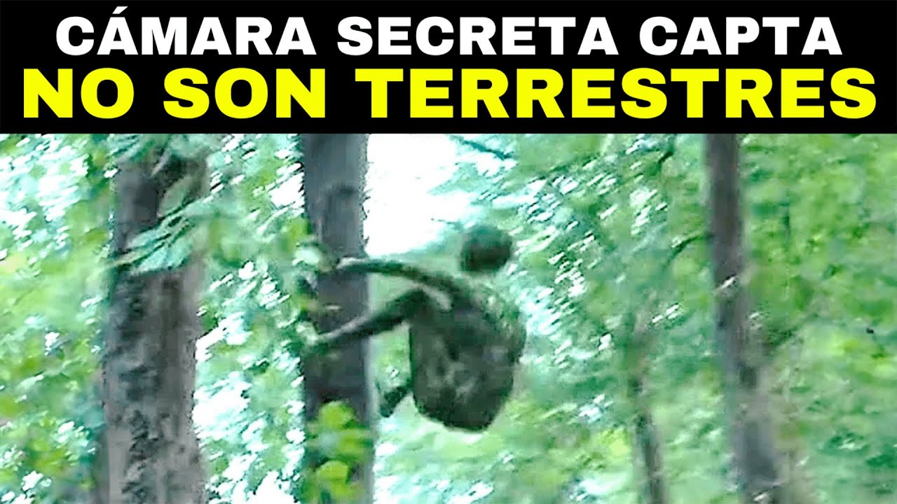 HACE 3 MINUTOS: Una Cámara de Vigilancia Capta Lo Que Nadie NUNCA Debía Ver...